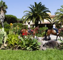 Horse Country Resort Congress & SPA Arborea